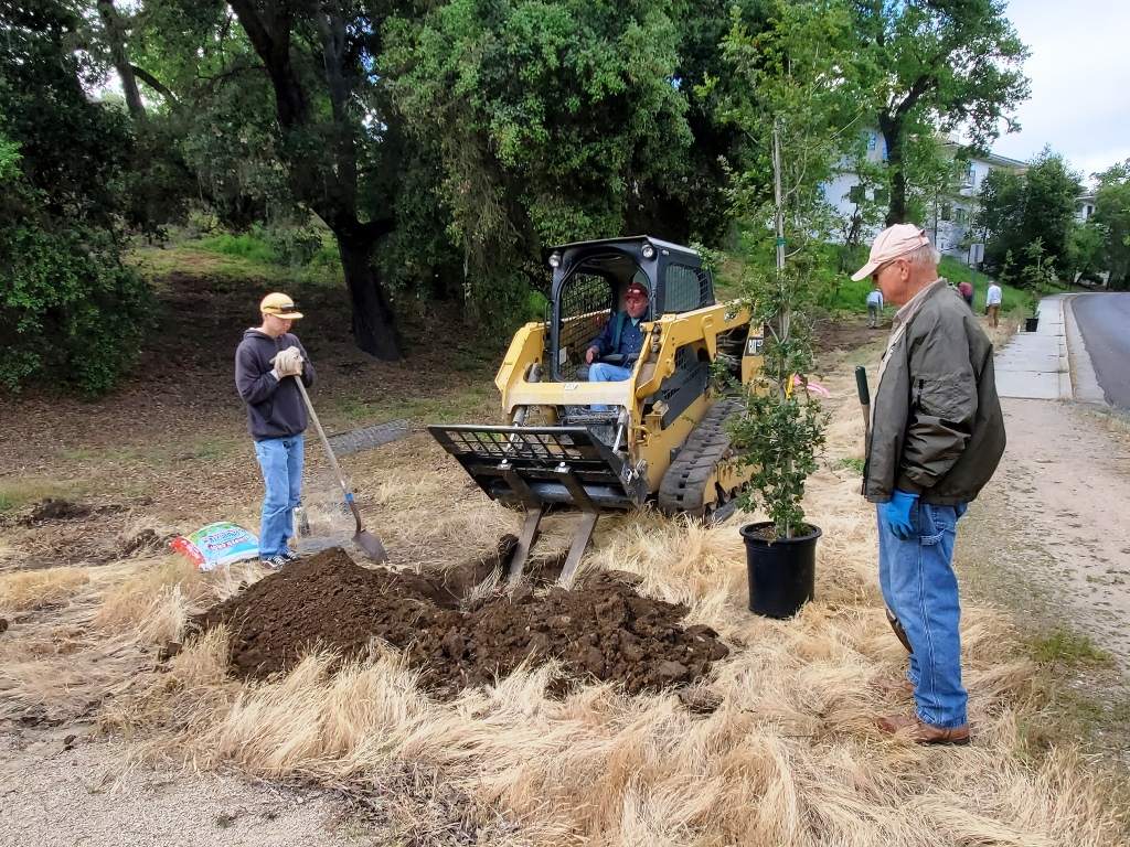 Loosening up the soil to make it easier to dig the holes!